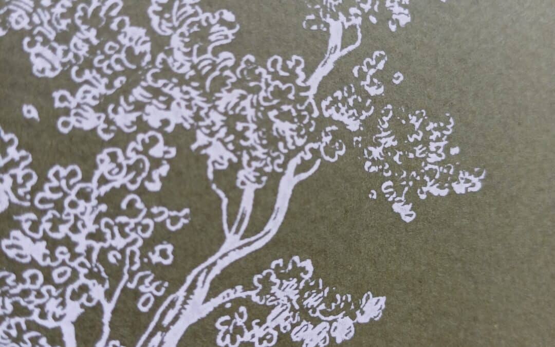Domaines Loron et Auvigue : une brochure oeno unique